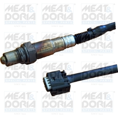Oxygen Sensor